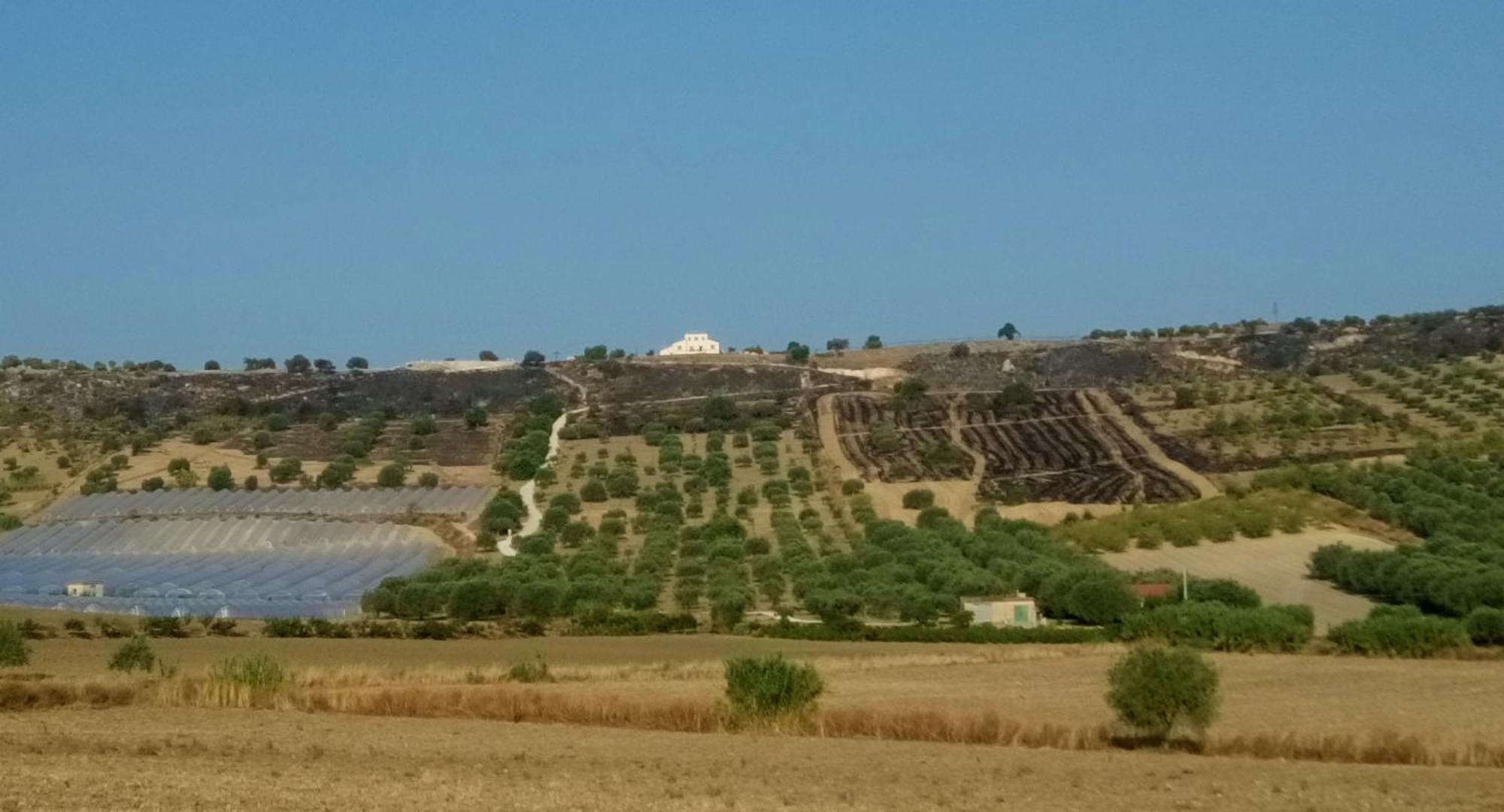 Olivandro Casale Modica Exteriér fotografie